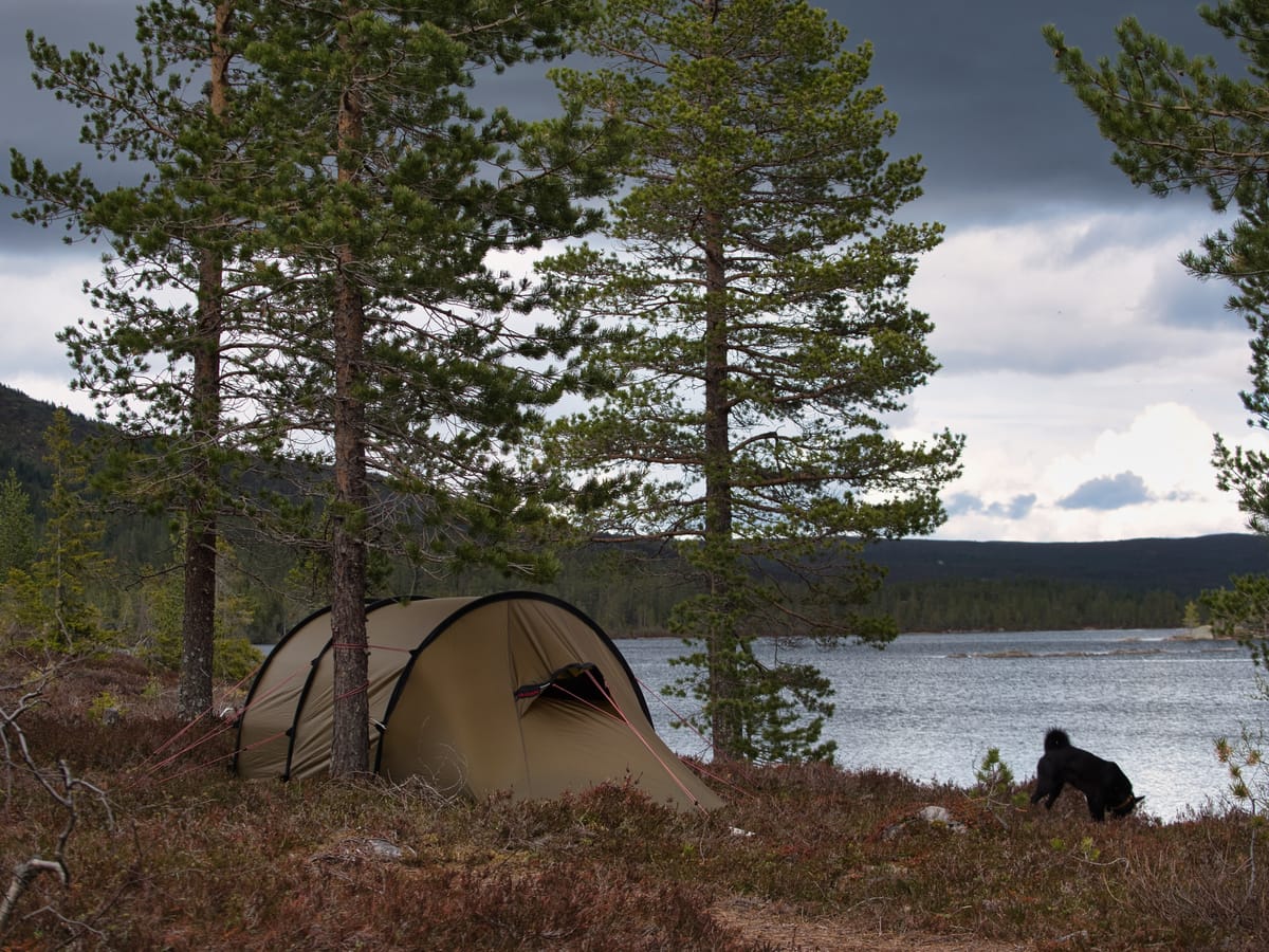 Nordstul siste helgen i Mai 2022