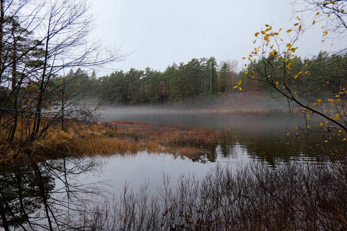 Stien som fant meg – en morgen uten plan.
