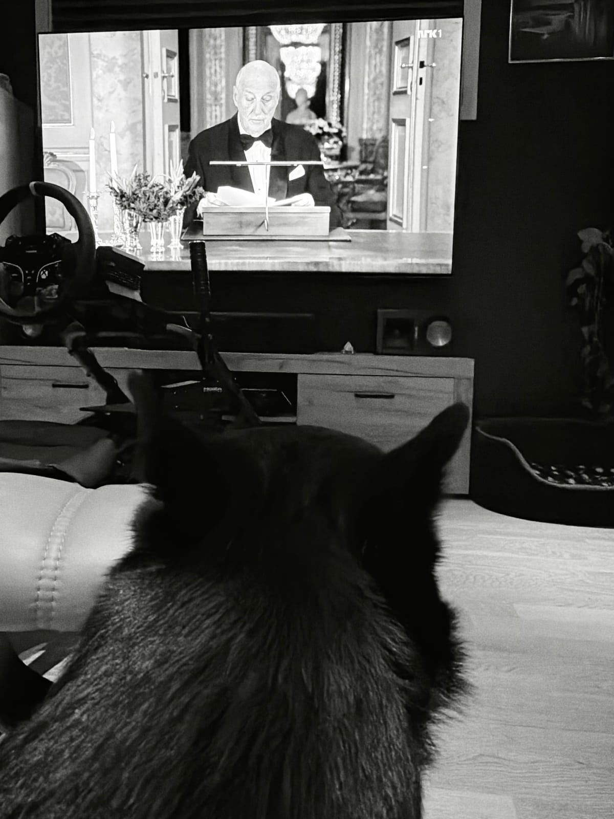 Godt Nyttår folkens 🐾🍾