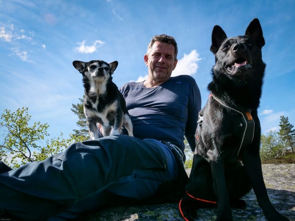Pinsen 2020 - Solhomfjell