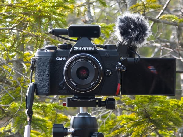 Mikrofon for friluftsliv video.